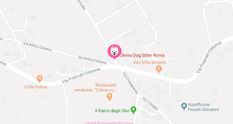 Mappa Jlenia Dog Sitter Roma