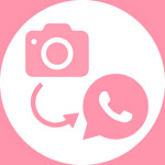 Pensione per Cani con Foto e Video giornalieri