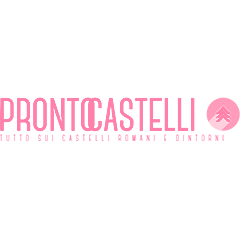 Logo di Pronto Castelli - Servizi locali