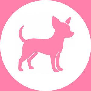 Pensione per cani taglia piccola Pensione per cani taglia piccola