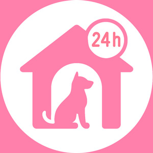 A Roma Pensione per Cani H24